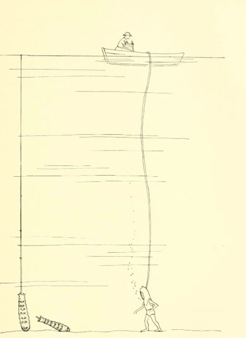 Beebe's drawing of a diver