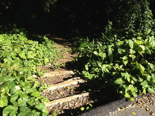 Neat steps leading down to the sound in June this year